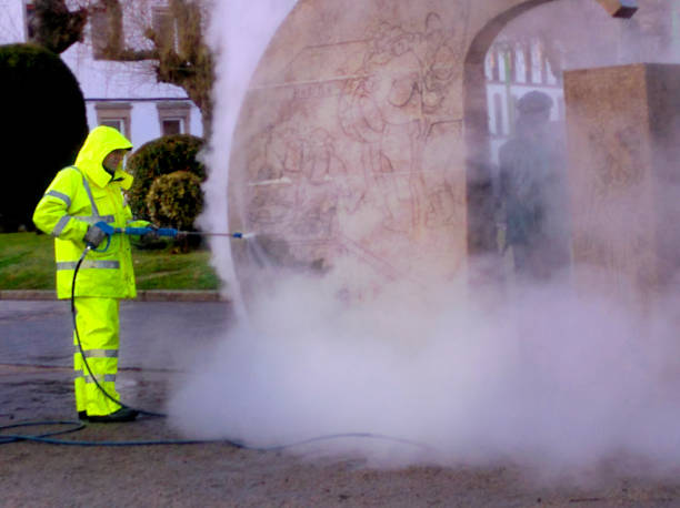 Best Roof Pressure Washing  in Alpine, TX